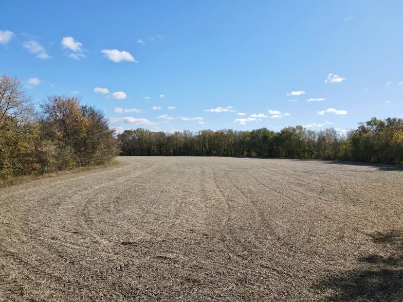10± Acres Near Shoal Creek with 7± Tillable Acres for Sale – Clinton County