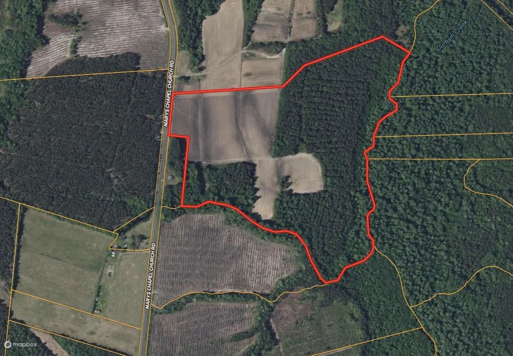 56 Acres Farmland & Timber with Hunting in NC - Aurora, North Carolina, 27806