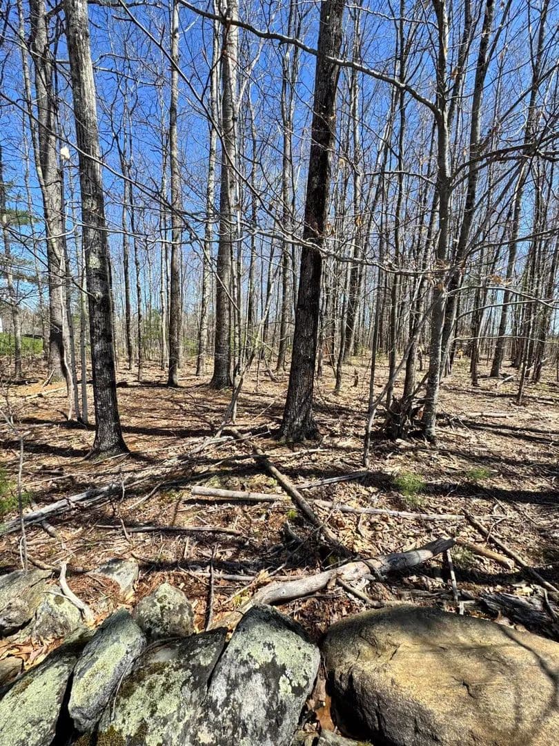 Property from TBD Oakwood Drive - KW
