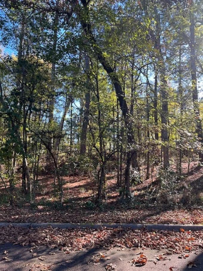 Vacant Land (0-10 Acres) in Camden