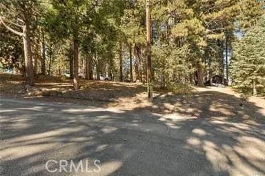 Vacant Land in Running Springs - Running Springs, California, 92382