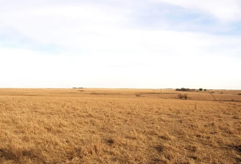 Clements Prairie 154