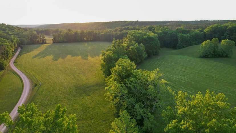 Wades Branch Farm