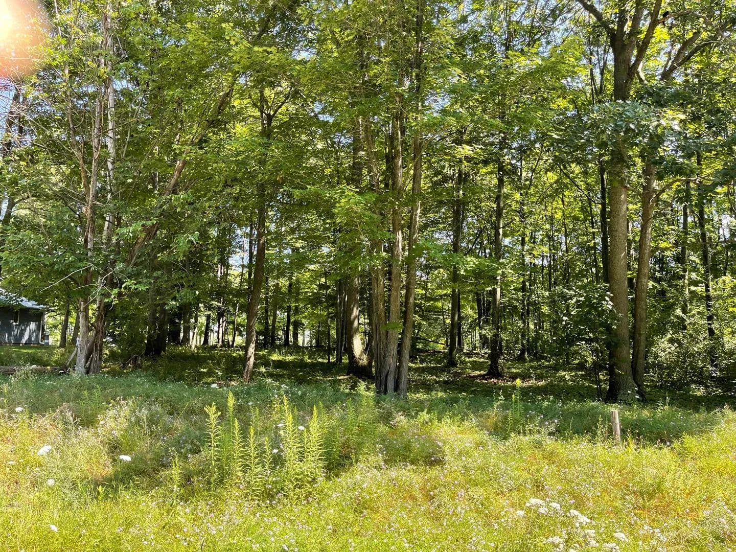 Vacant Land in Houghton Lake - Houghton Lake, Michigan, 48629