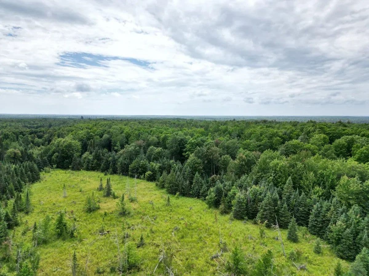USFS 2130 Road-Perch Lake - Iron River, Michigan, 49970