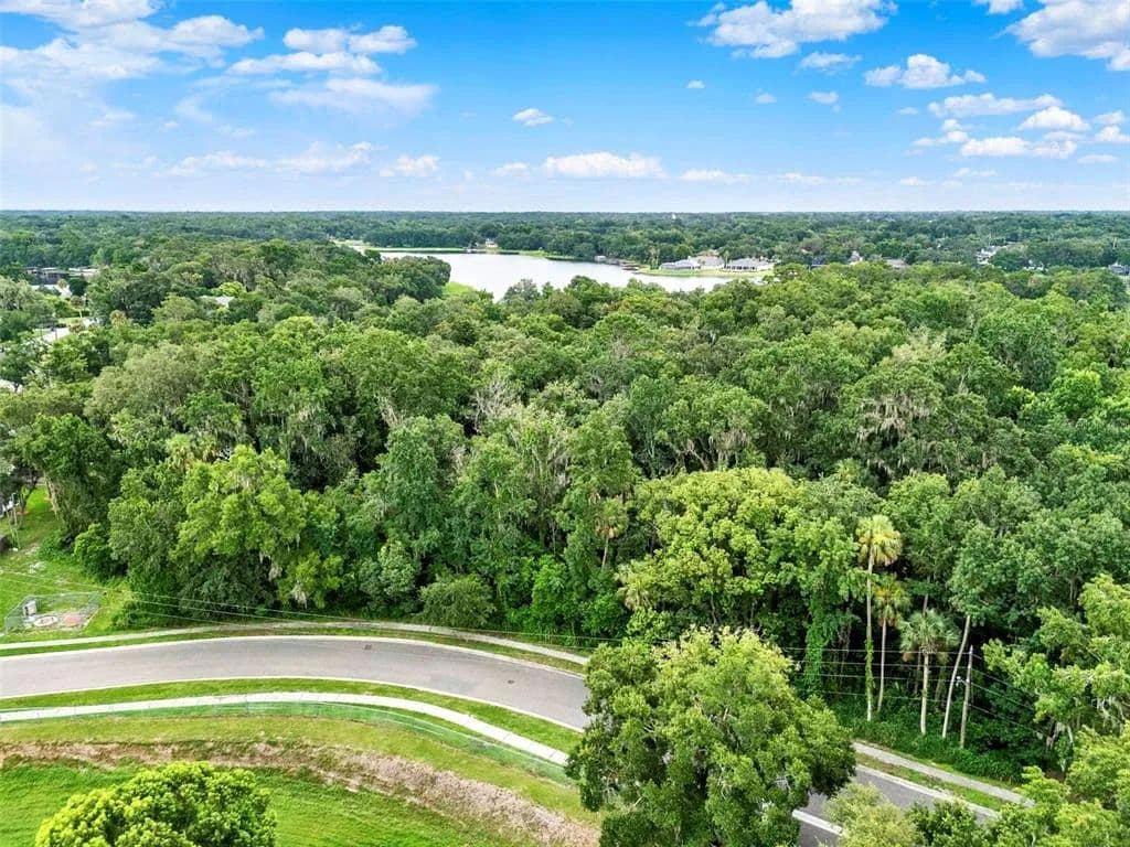 Vacant Land in Apopka - Apopka, Florida, 32712