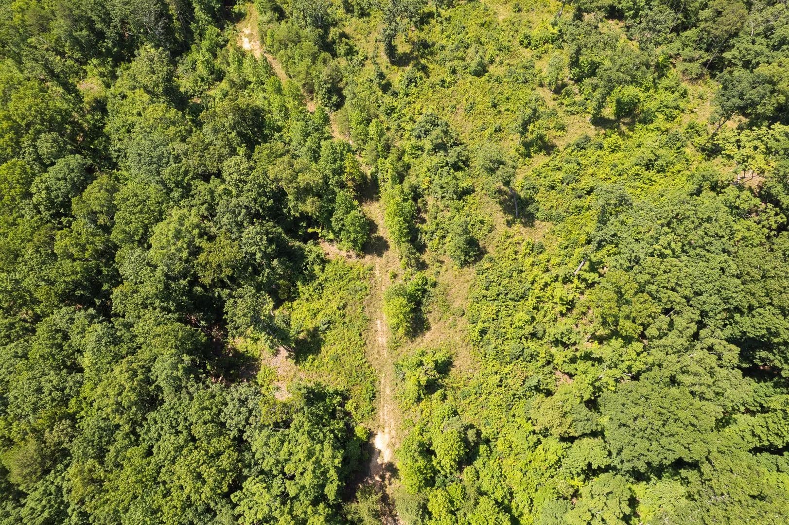 4.32± Acres of Recreational Land Near Chattanooga | Dade County, GA - Trenton, Georgia, 30752