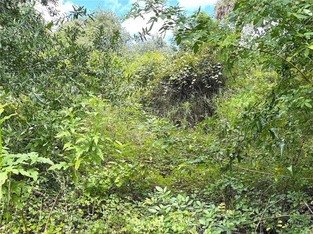 Vacant Land in Port Charlotte - Port Charlotte, Florida, 33953