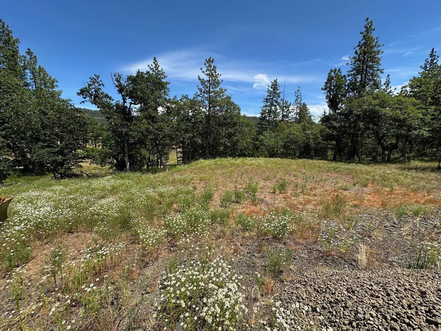 Property from 551 Hudspeth Lane - KW - Shady Cove, Oregon, 97539
