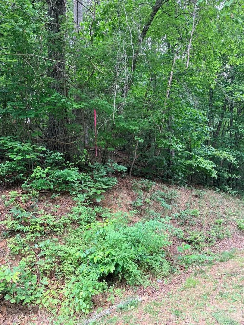 Property from TBD N Marley Ford Road - KW - Ferguson, North Carolina, 28624