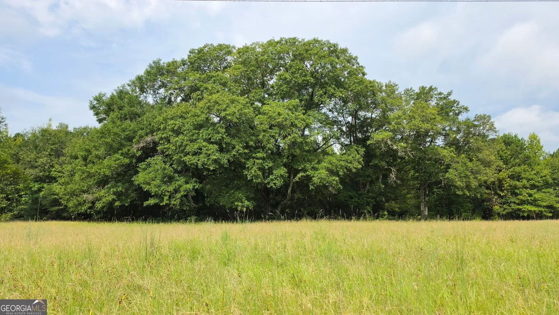 10.24 Acres of Land for Sale in Gay, GA - Gay, Georgia, 30218