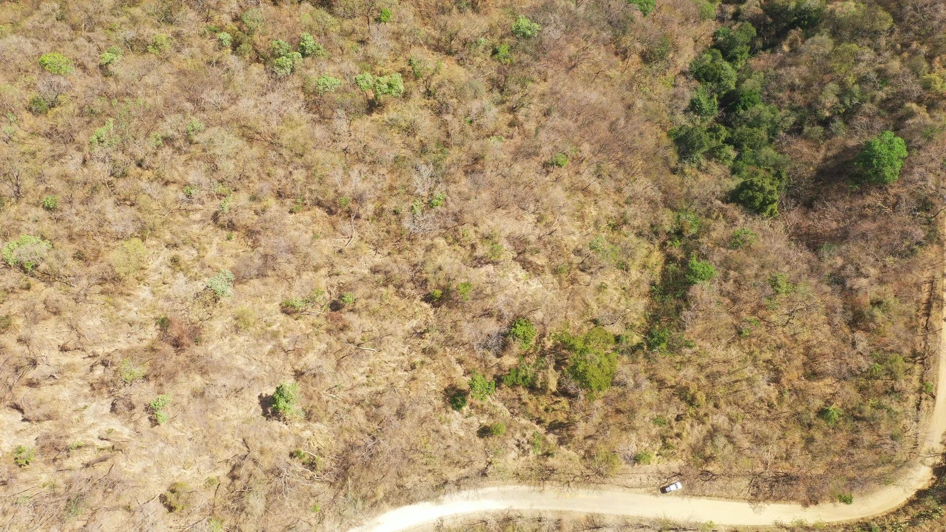 Vacant Land in Nicoya Peninsula - land for sale