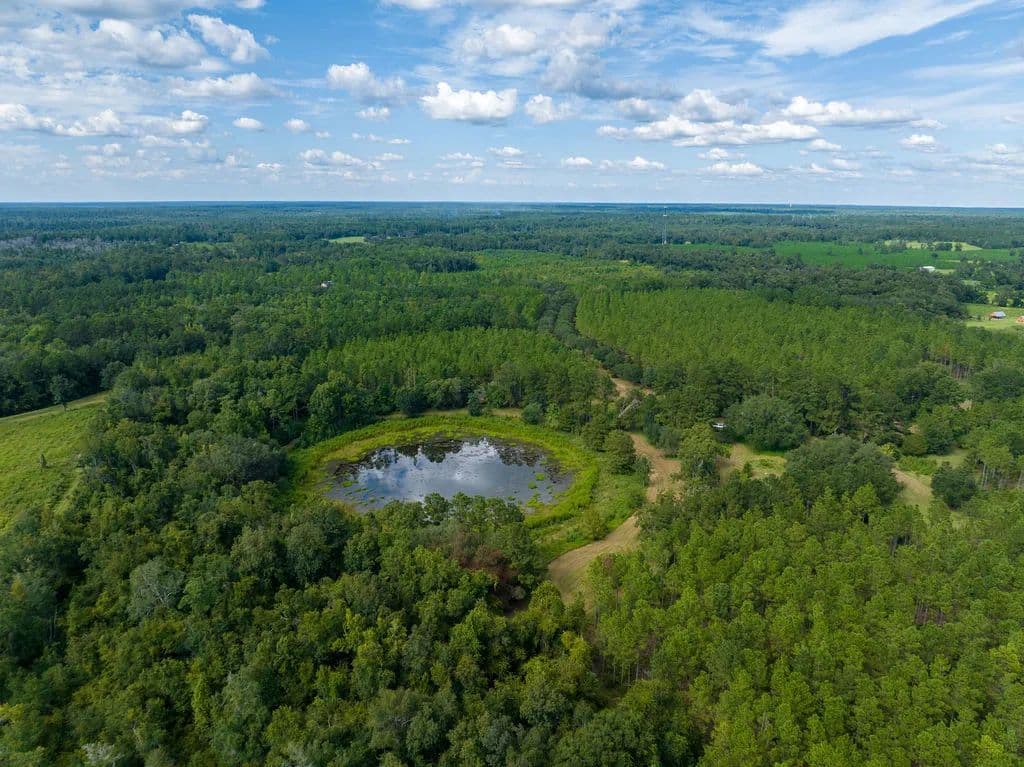 Ox Lake - Wacissa, Florida, 32344