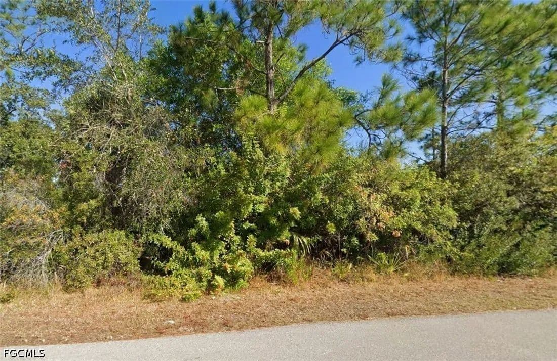 Vacant Land in Lehigh Acres - Lehigh Acres, Florida, 33972