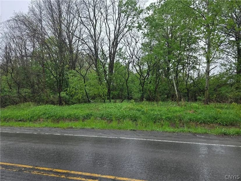Lots & Land-Other in Canastota
