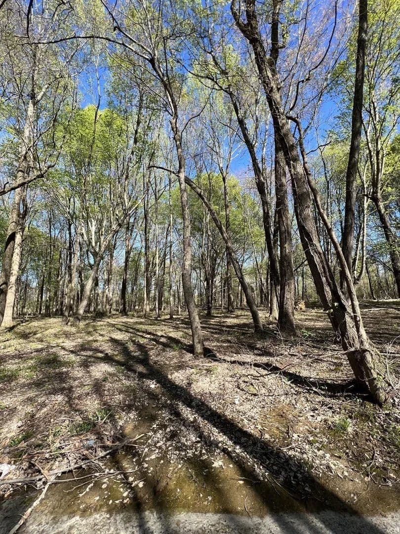 Lots & Land-Other in Lafayette - Lafayette, Tennessee, 37083