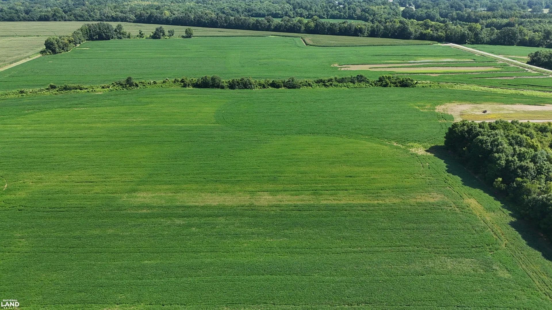 Milledgeville Row Crop Farm & Hunting Property - Milledgeville, Tennessee, 38359