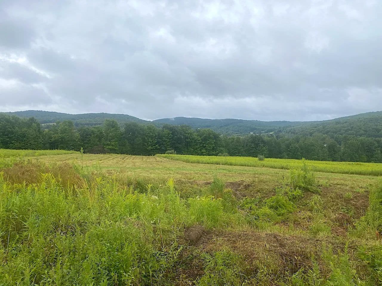 60 acres Hunting and Recreational Land with Building Sites in Wirt NY State Route 275 - Friendship, New York, 14739