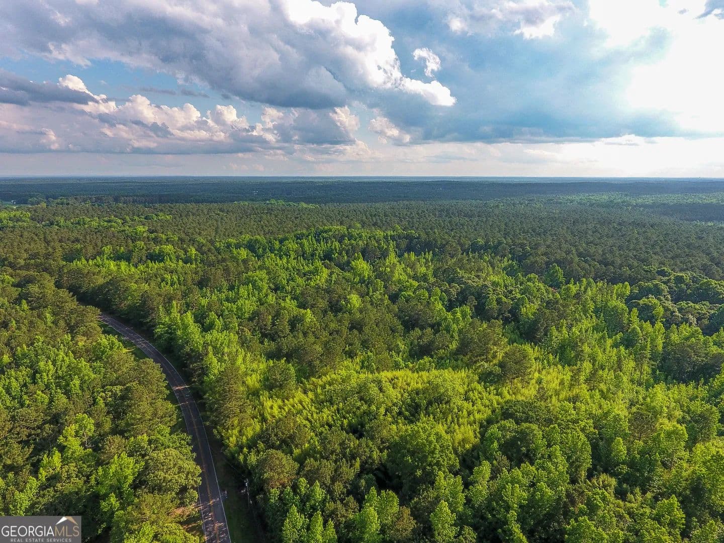 40.5 Acres of Land for Sale in Luthersville, Georgia - land for sale