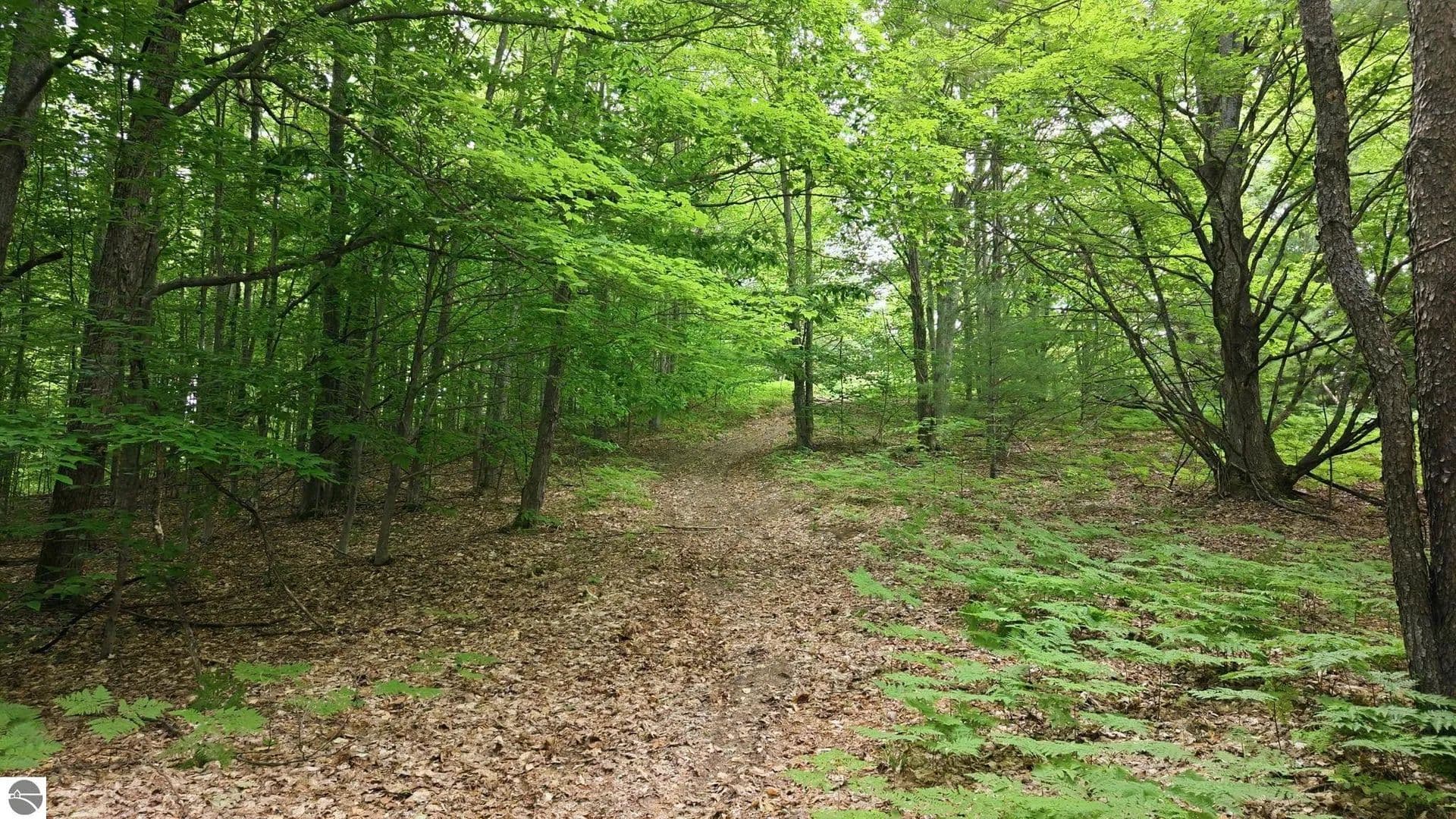 80 Acres of Land for Sale in Kalkaska, MI - Kalkaska, Michigan, 49646