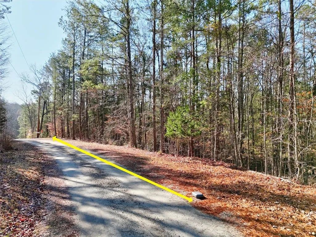 Vacant Land in Abbeville - Abbeville, South Carolina, 29620