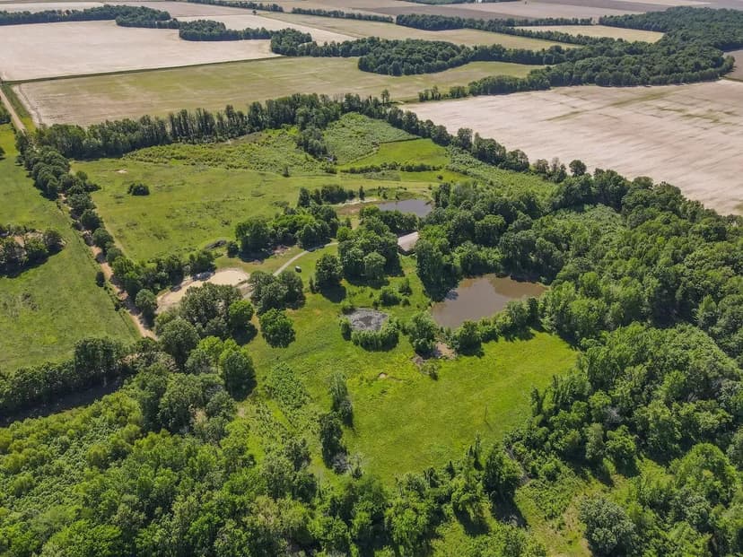 40 Private Acres in Ripley County Featuring 2 Stocked Ponds