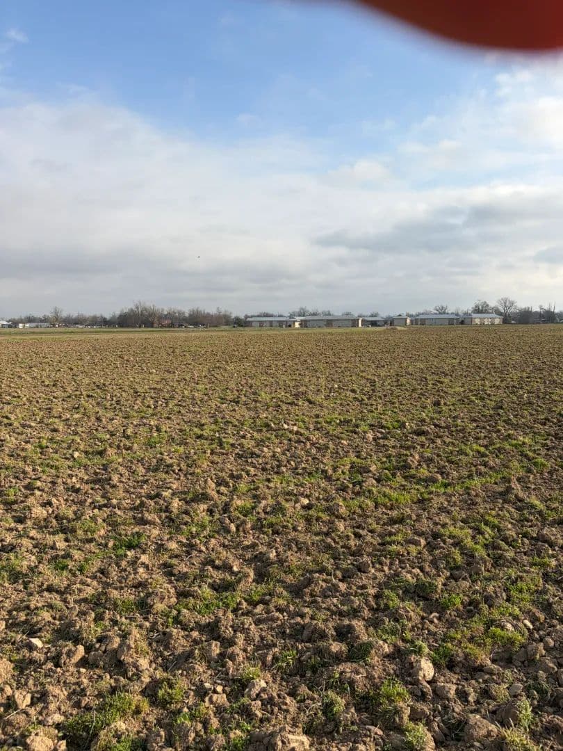 29.5 Acres in Leflore County, MS 