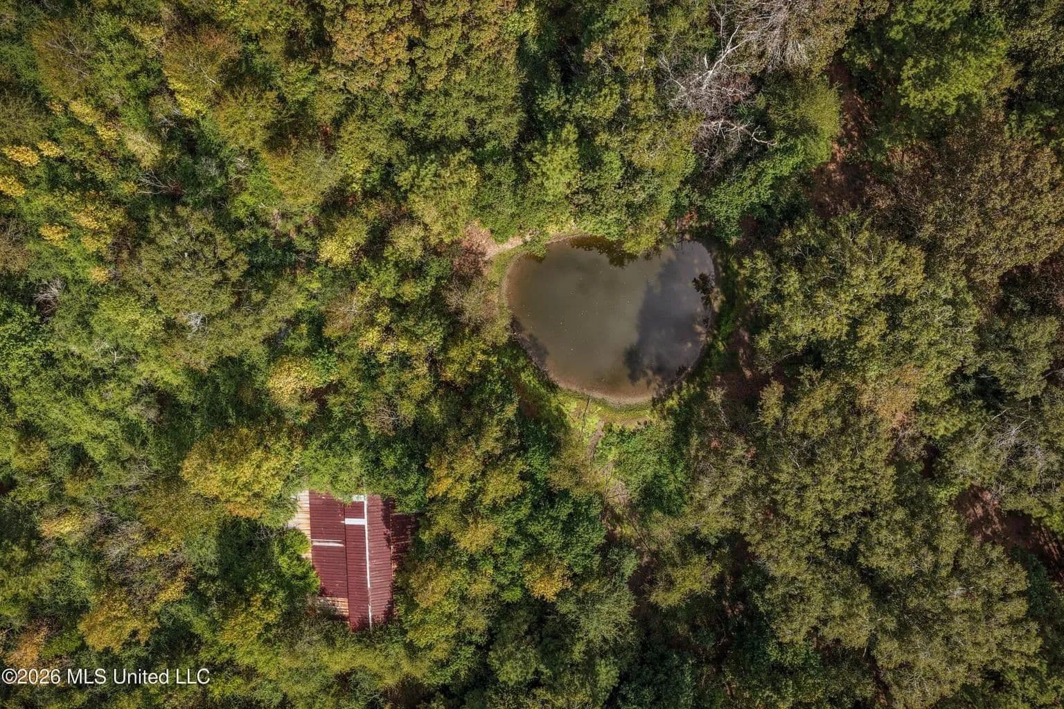 19.7+/- Acres of Wooded Land for Sale in Magnolia, MS - Magnolia, Mississippi, 39652