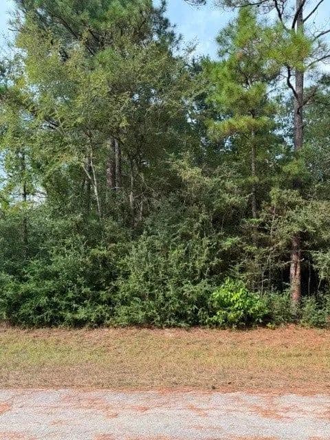 Lots & Land-Other in Hockley - Hockley, Texas, 77447