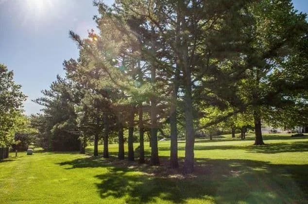 Property from SW 163rd Street - KW - , Missouri, 64082
