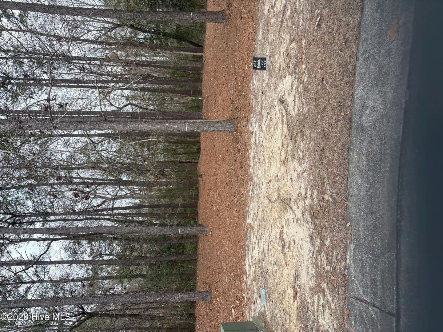 Vacant Land in Bolivia - land for sale