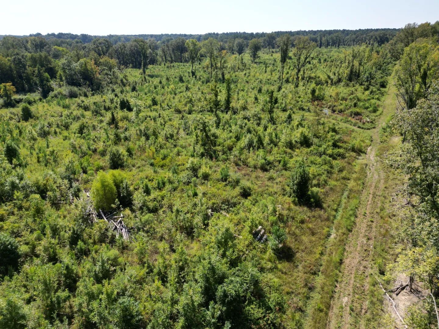 67 Acres in Scott County, MS  - Morton, Mississippi, 39117