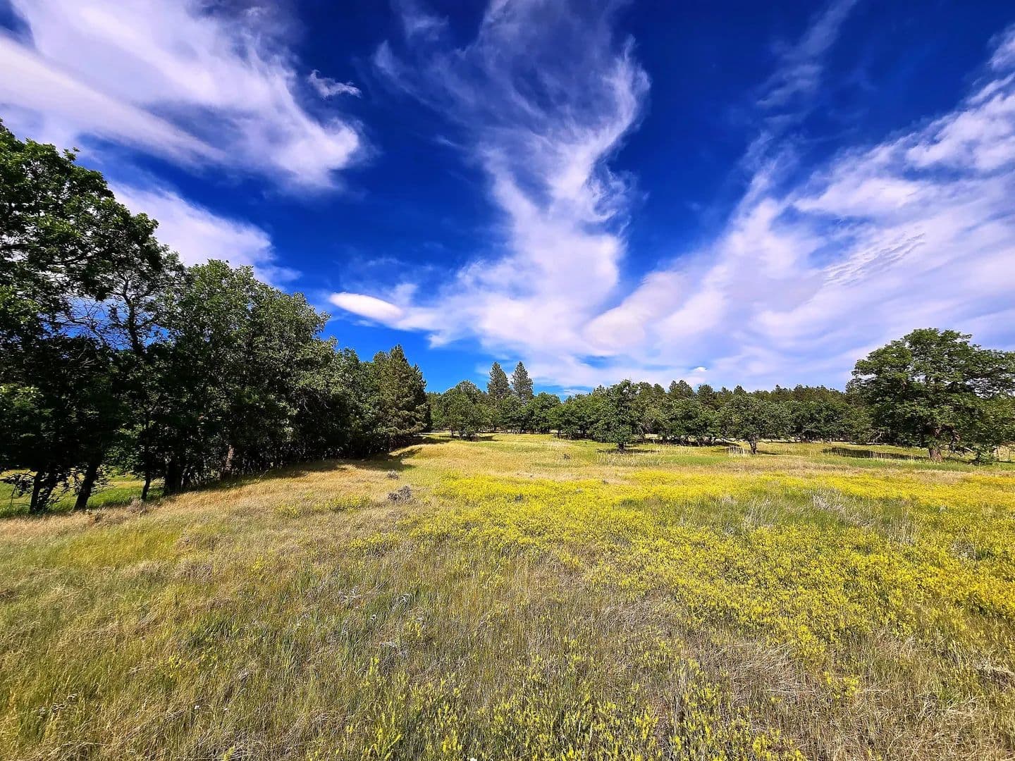 Aladdin Timber & Meadow - Aladdin, Wyoming, 82710