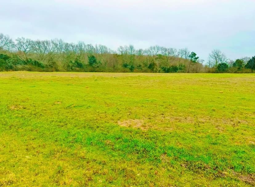 Property from 0 co rd 49 - KW