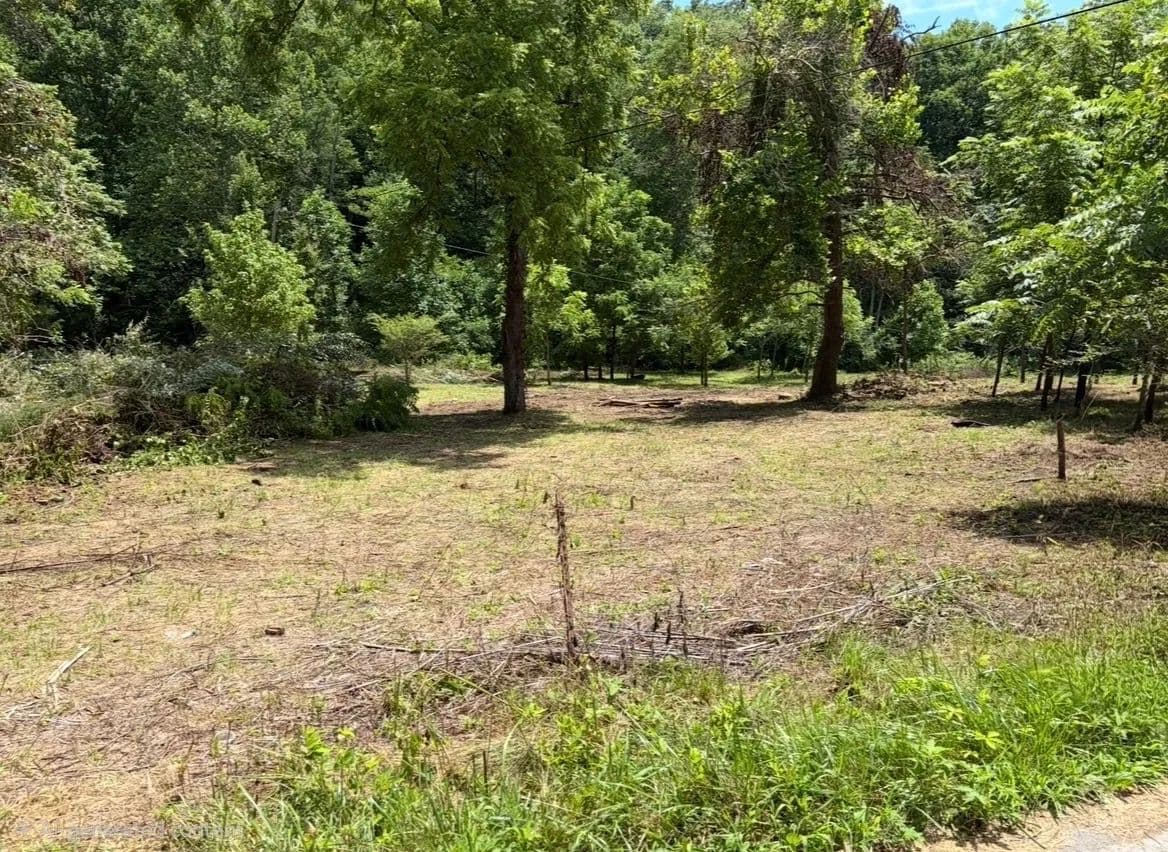 Land -Agricultural (Not Zoned) in Rose Hill - Rose Hill, Virginia, 24281