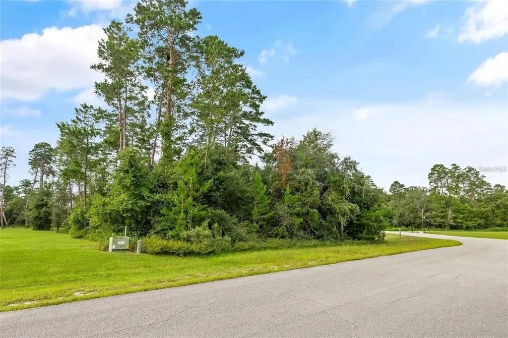 Vacant Land in Hudson - Hudson, Florida, 34669