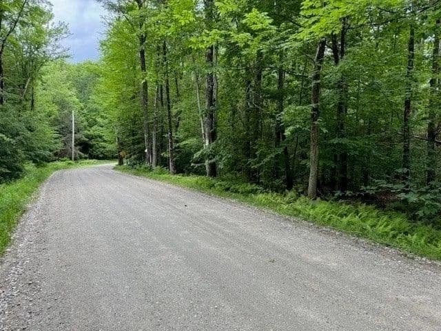 Lots & Land-Other in Rowe - Rowe, Massachusetts, 01367