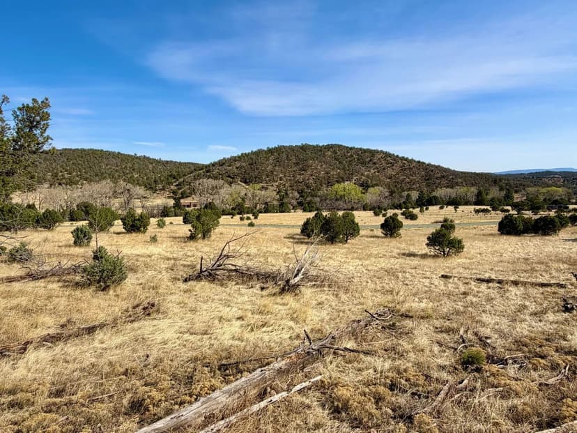 Land -Agricultural (Not Zoned) in Alto