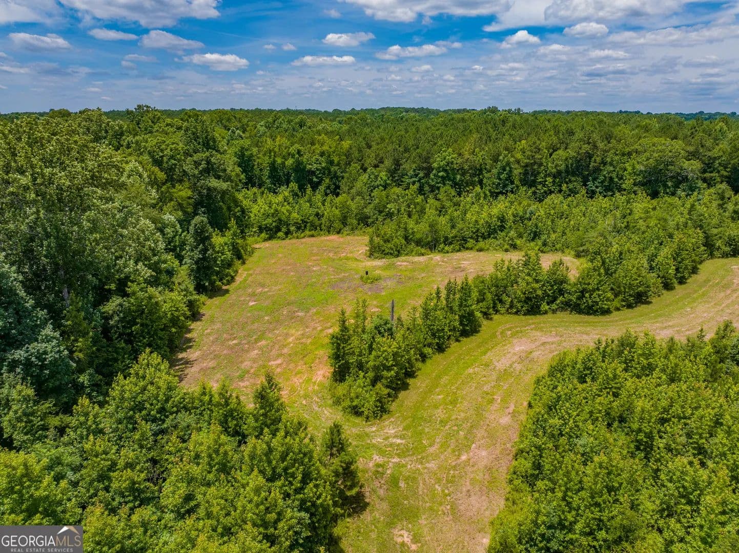 47.7 Acres of Land for Sale in Madison, GA - Madison, Georgia, 30650