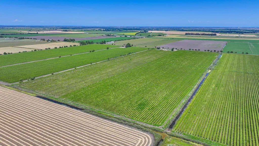 Land -Agricultural (Not Zoned) in Clarksburg - Clarksburg, California, 95612
