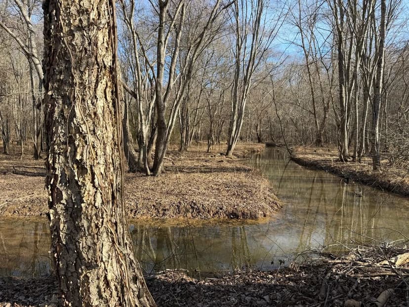 PINE CREEK TRACT - SHARPSBURG, GA