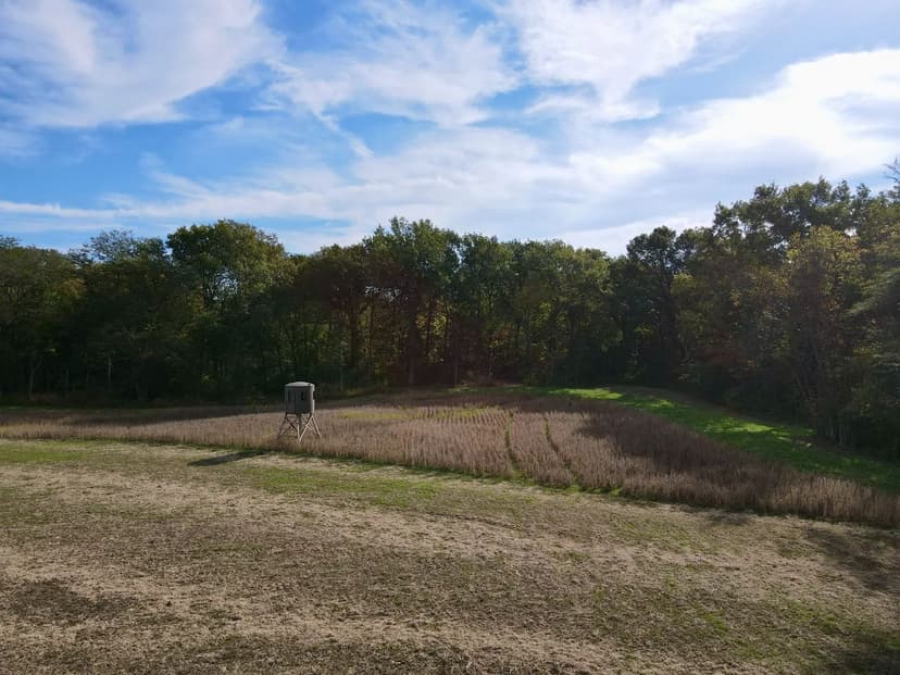 Tract 4:  185±-Acre Property with Productive Farmland – Bond County