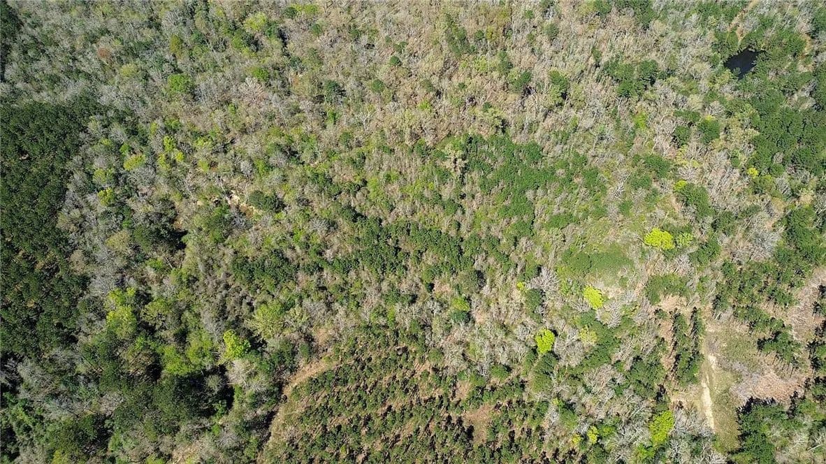 Vacant Land in Newton - Newton, Texas, 75966