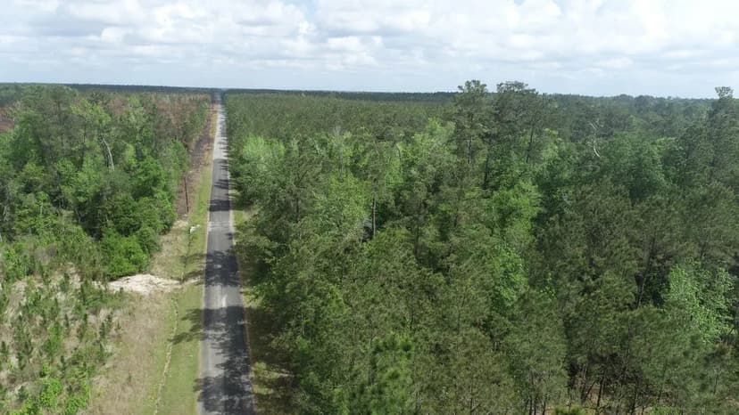 Barrow Forest Tract 6