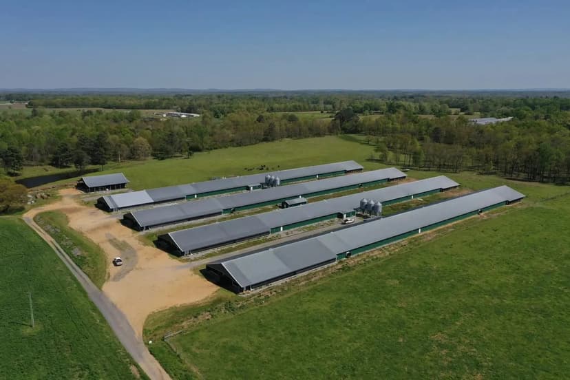 Black Oak MEGA Broiler Farm – Four House in Dekalb County, Alabama