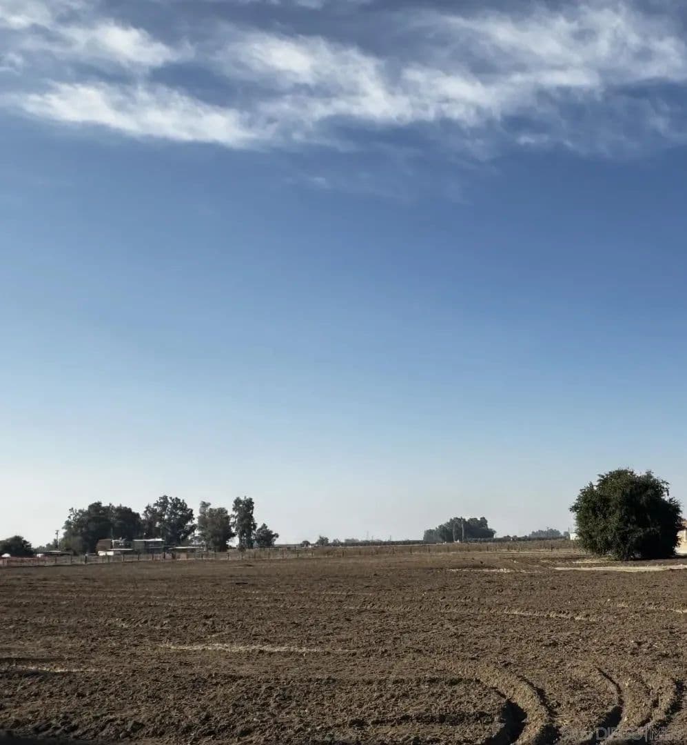 Land for Sale in Lemoore, California - Lemoore, California, 93245