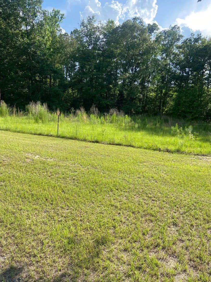 20 Acres of Land for Sale in Hicks, Louisiana - Hicks, Louisiana, 71446