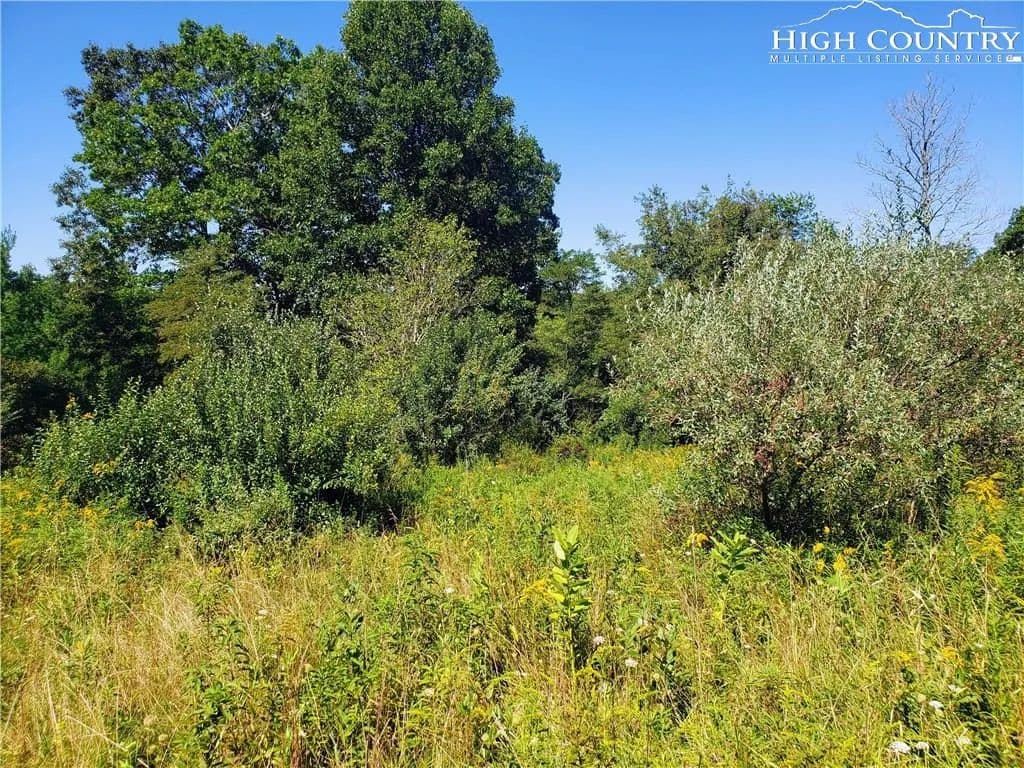 Vacant Land in Piney Creek - Piney Creek, North Carolina, 28663