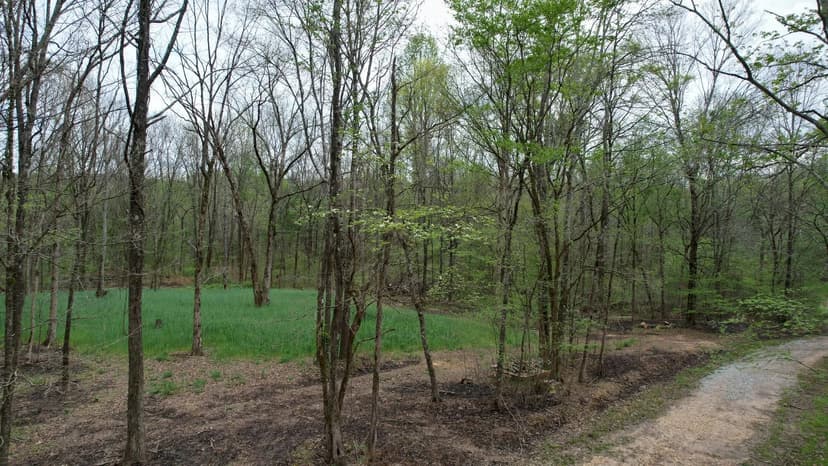 Lane Spring Rd Getaway - 47 Acres Colbert Co.