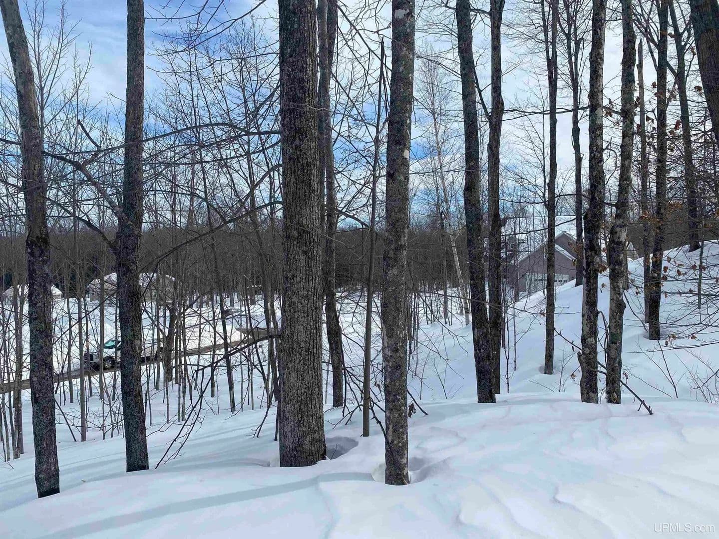 Vacant Land in South Range - South Range, Michigan, 49963